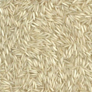Pusa Steam Basmati Rice - Long Grain Rice, White Color, 1% Broken, Organic Cultivation, Nil Moisture, Easy To Cook with Rich Aroma