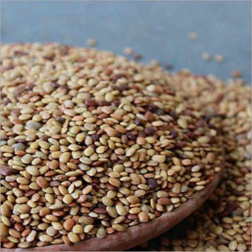 Horse Gram And Kollu - Organic Dried Dal, High Purity, High Protein, Low Fat, Rich in Antioxidants, Available in Various Packaging Options