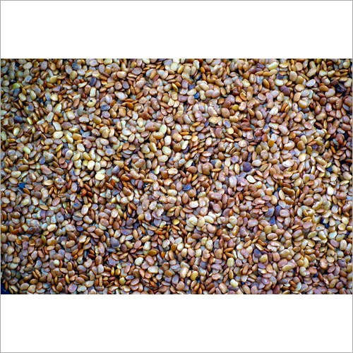 Horse Gram Kulthi - Organic Dried Legume | High Purity, 0% Broken Ratio, 0% Moisture, Suitable for Various Culinary Uses