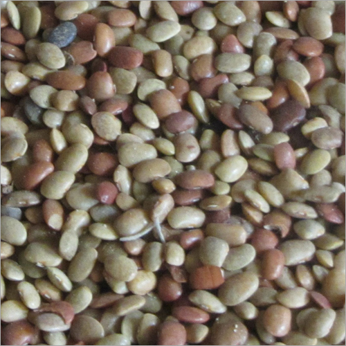 Kulthi Dal - Organic Dried Lentils | High Purity, Nil Moisture, Nil Broken Ratio, Ideal for South Indian Dishes