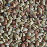 Kulthi Dal - Organic Dried Lentils | High Purity, Nil Moisture, Nil Broken Ratio, Ideal For South Indian Dishes