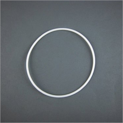 PTFE Solid Ring Gasket