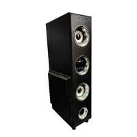 SNN Tower Music System