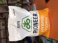 Pioneer 3378