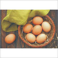 Chicken Eggs