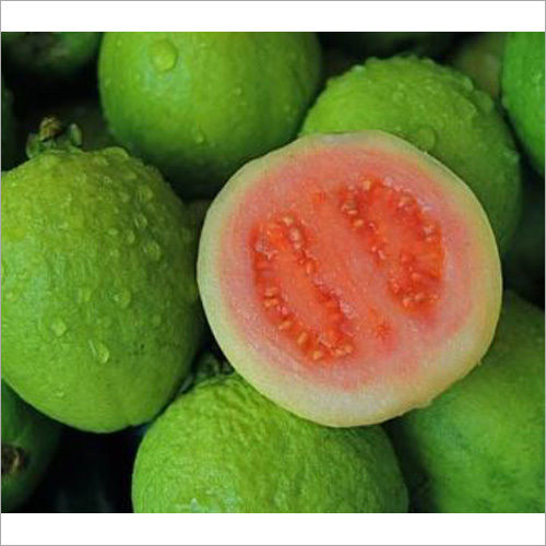 Fresh Guava