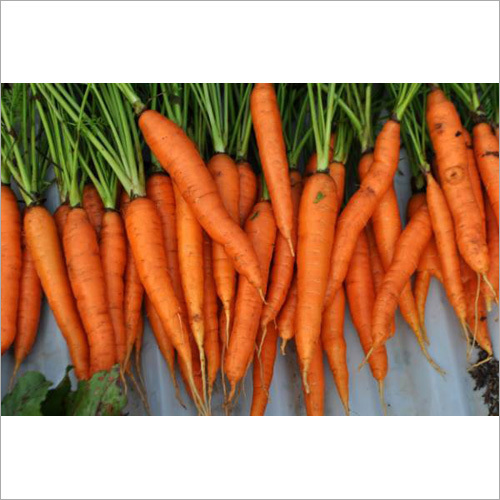Organic Carrots