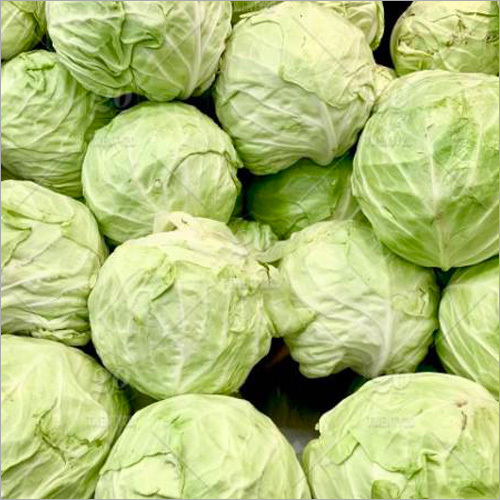 Organic Green Cabbage By AGROPRO TRADING LTD