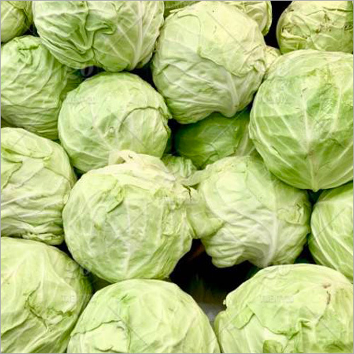 Organic Green Cabbage