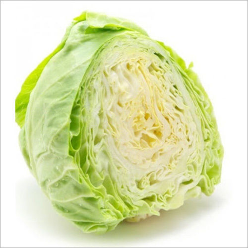 Fresh Cabbage