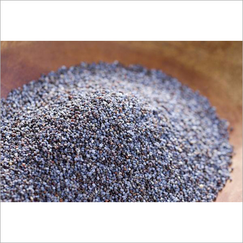 Blue Poppy Seed