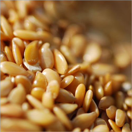 Organic Golden Linseed