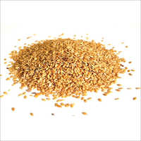 Golden Linseed