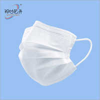 3 Ply Face Mask