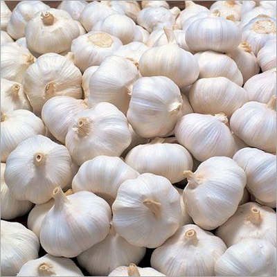 Fresh White Garlic