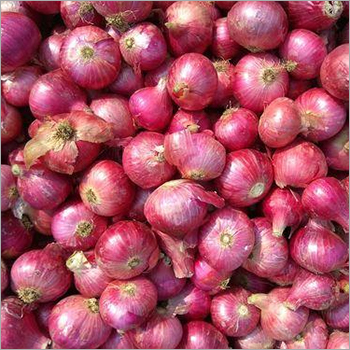 Fresh Red Onion