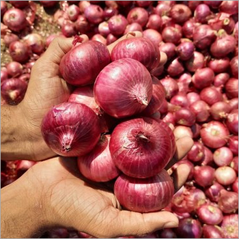 Red Onion