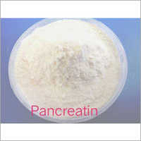 Pancreatin Enzyme Powder