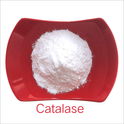 Catalase Enzyme Powder By G K PHARMA
