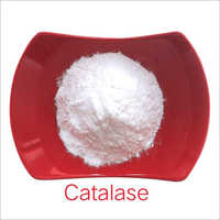 Catalase Enzyme Powder