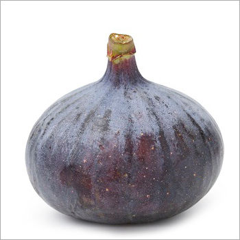 Fresh Fig