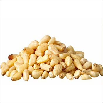 Pine Nut By AADIANANT FOOD AND BEVERAGES PRIVATE LIMITED