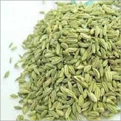 Fennel Seeds