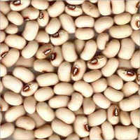 लोबिया पल्सेस