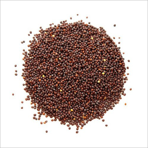 Fresh Mustard Seeds By AADIANANT FOOD AND BEVERAGES PRIVATE LIMITED