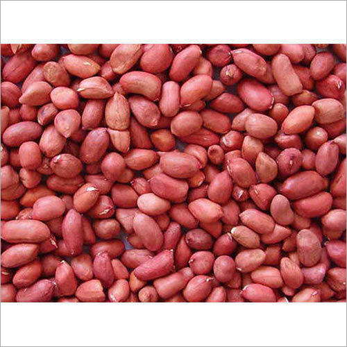 Groundnut Seeds