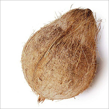 Indian Semi Husked Coconut