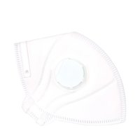 Disposable Protective Mask With Valve