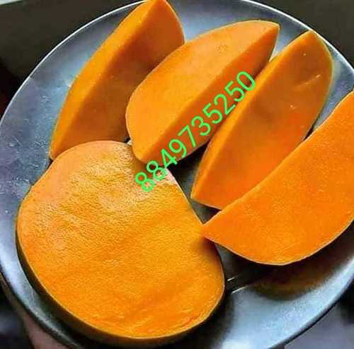 स्वीट डेयरी फार्म द्वारा जैविक केसर आम