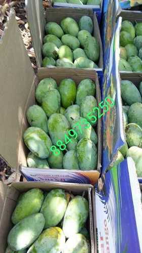 Kesar Mango 10 Kg Box