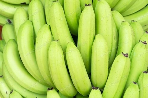 Cavendish Banana