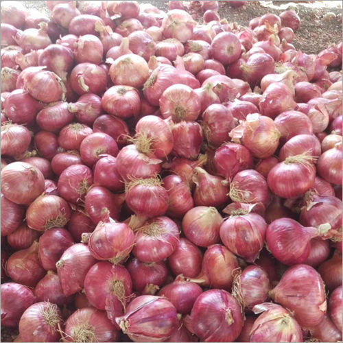 Fresh Red Onion