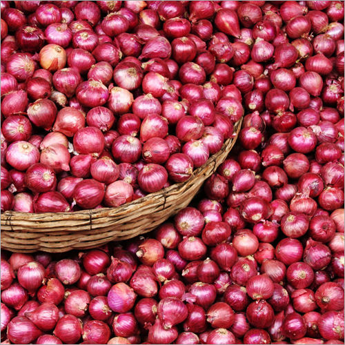 Fresh Red Onion