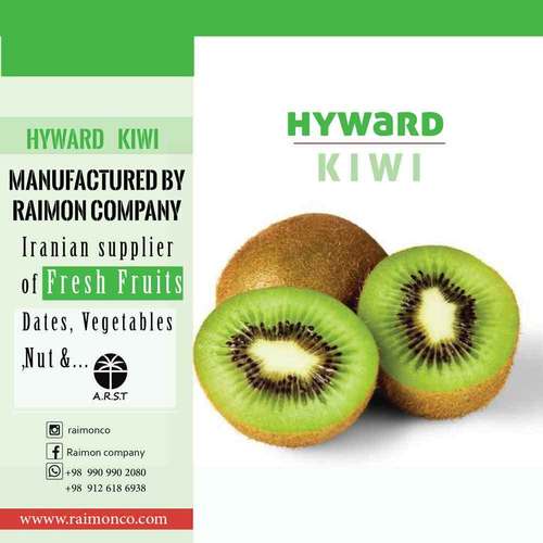 Hyward Kiwi By RAIMON