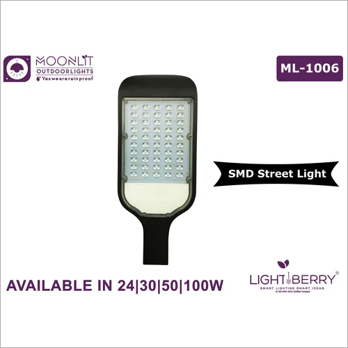 6000K Lightberry Street Light Ml-1006