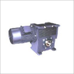 Worm Gear Motors