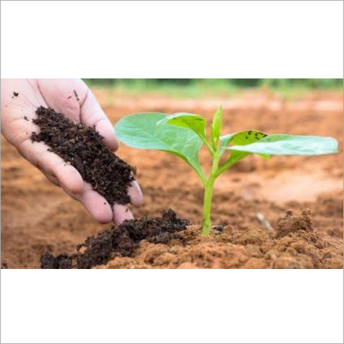 Bio Compost Organic Fertilizer