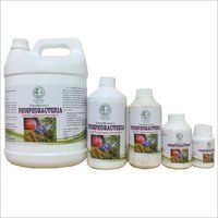 Liquid Phosphobacteria Biofertilizer