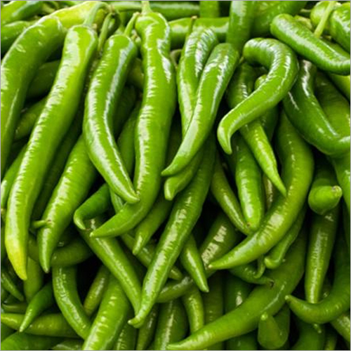 Fresh Green Chilli By SK INTERNATIONAL
