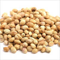 Coriander Seeds