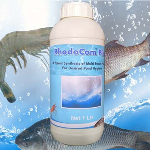 Rhodocom Plus -1 Ltr Multi Strain Probiotic Powder Application: Water
