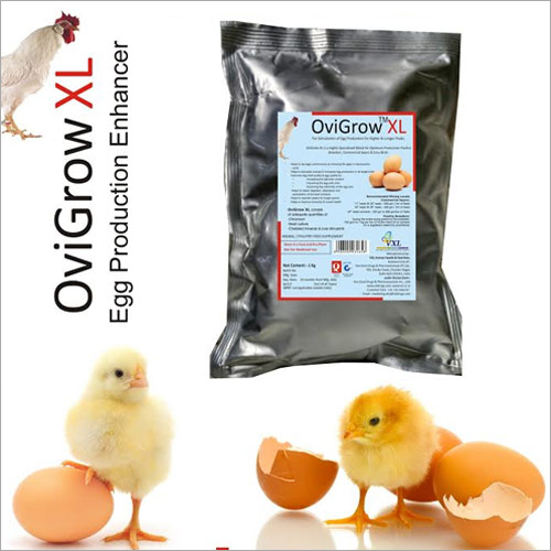 Ovigrow XL - Egg Production Enhancer Powder