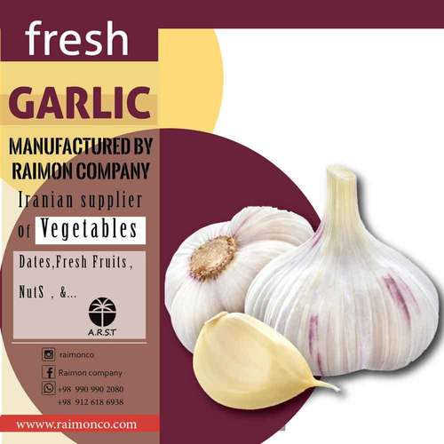 Fresh Garlic By RAIMON