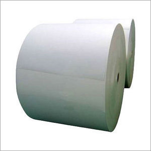 PE Coated Paper Roll