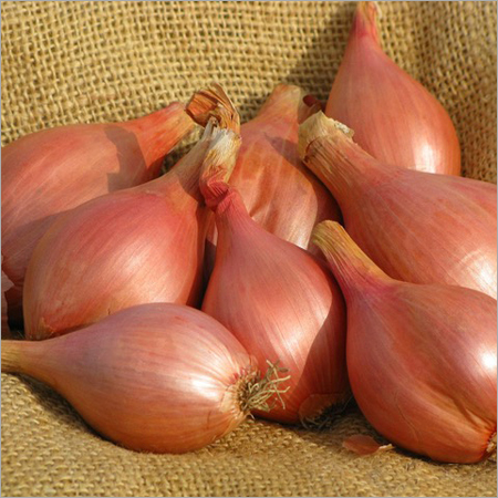 Fresh Shallots