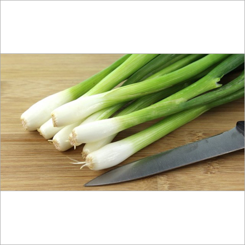 Scallions And Green Onions By DDK GLOBAL TRADES